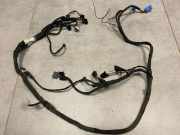 Kabel der vorderen linken Tür MERCEDES-BENZ G (W463) G 400 CDI (463.332, 463.333) 4638205415
