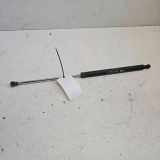 Heckklappe Gasdruckfeder links RENAULT LAGUNA I Grandtour (K56_) 1.9 dCi (K56W)