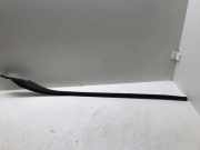 Zierleiste Windschutzscheibe Frontscheibe VOLVO S60 II DRIVe / D2 31335864