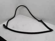 Türgummi rechts vorne VW Arteon (3H)