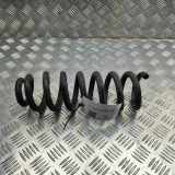 Schraubenfeder hinten links