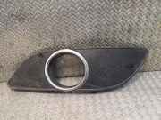 Kühlergrill links Mercedes-Benz B-Klasse Sports Tourer (W245) 1698851122