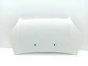 Motorhaube FIAT DOBLO Cargo (223_) 1.3 D Multijet