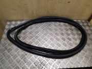 Türgummi links vorne Audi Q7 (4L)