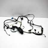 Türverkabelung hinten links BMW 6 Gran Coupe (F06) 650 i 9255415