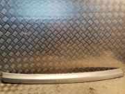 Stoßstangenmitte hinten MERCEDES-BENZ C Coupe (CL203) C 200 Kompressor (203.742) 2038855321