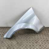 Kotflügel vorne links MERCEDES-BENZ C T-Model (S204) C 220 CDI (204.202) A2048801318