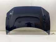 Motorhaube JAGUAR I-PACE (X590) EV400 AWD J9C316E636AH