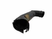 Luftansaugrohr RENAULT SCÉNIC II (JM0/1_) 1.9 dCi (JM0G, JM12, JM1G, JM2C) 001853 8200231516