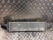 Ladeluftkühler Mercedes-Benz C-Klasse (W204) 2045000300