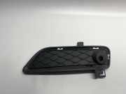 Gitter Grill vorne rechts