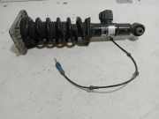 Stoßdämpfer hinten links BMW X5 (G05) xDrive 40 i 16997810 6869026