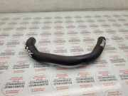 Schlauch Kühlung AUDI A8 D3 (4E2, 4E8) 3.7 quattro 077103221N