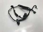 Türverkabelung hinten links