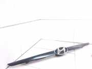 Vorderer oberer Gitter HYUNDAI GETZ (TB) 1.5 CRDi