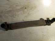 Ladeluftkühler FORD GALAXY (WGR) 1.9 TDI 132002748A