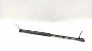 Heckklappe Gasdruckfeder links SEAT IBIZA III (6L1) 1.9 TDI 6L6287550