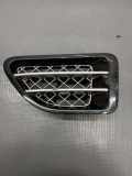 Gitter vorne unten LAND ROVER RANGE ROVER SPORT (L320) 3.0 D 4x4 M0N7A
