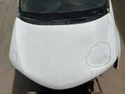 Motorhaube TOYOTA RAV 4 IV (_A4_) 2.0 D (WWA42_)