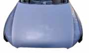 Motorhaube AUDI Q5 (8R) 3.0 TDI quattro 8R0823029