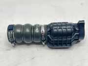 Andere Röhren TOYOTA PROACE Minibus / passenger (MPY_) 1.6 D (MPY2_) 9687261180