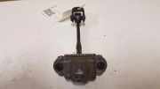 Türanschlag hinten links CITROËN C4 Picasso I (UD_) 1.6 HDi B51ARG
