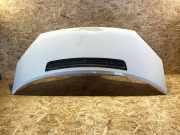 Motorhaube FORD TRANSIT Furgon 2.2 TDCi