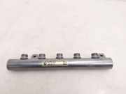 Einspritzleiste Nissan X-Trail III (T32) 175210542R