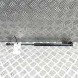 Heckklappe Gasdruckfeder links KIA SPORTAGE (QL) 1.6 CRDi 81770-F1000