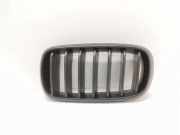 Kühlergrill oben BMW X5 (F15, F85) 7316075