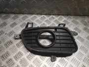 Gitter Grill vorne rechts MERCEDES-BENZ A (W169) A 180 CDI (169.007, 169.307) A1698850622 1698850622