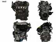 Motor ohne Anbauteile (Benzin) Hyundai Ioniq (AE) G4LE