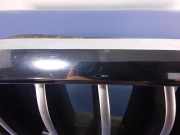 Lüftungsgitter für Stoßfänger BMW X6 (F16, F86) 7316076