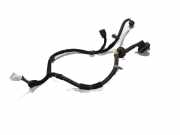 Kabel Tür Hyundai Santa Fe I (SM) 482648