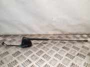 Antenne Dach Nissan Juke (F15)