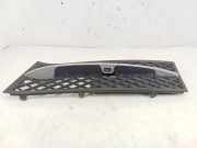 Kühlergrill unten BMW 5er (F10) 7200699