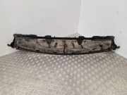 Grill Windlauf Citroen Jumpy II Kasten ()