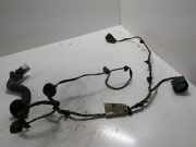 Türverkabelung hinten links