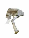 Fensterwaschtank RENAULT LAGUNA III (BT0/1) 2.0 dCi (BT01, BT09, BT12, BT1S) 289100001N