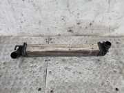 Ladeluftkühler RENAULT MEGANE III Hatchback (BZ0_) 1.5 dCi (BZ09, BZ0D) M162983