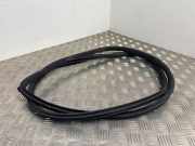 Türdichtung Renault Koleos I (HY)