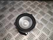 Türlautsprecher vorne links