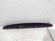 Gehäuse für Kennzeichenleuchte Hyundai Santa Fe II (CM) 873112B500