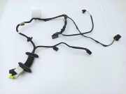 Kabel Tür vorne rechts JAGUAR XJ (X308) 4.0