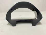 Geschwindigkeitsmesserverkleidung