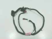 Türverkabelung hinten links NISSAN MURANO I (Z50) 3.5 4x4 6031000121F1