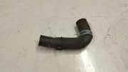 Schlauch Kühlung AUDI A4 Avant (8W5, B9) S4 quattro 8w0819376t