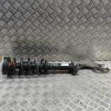 Stoßdämpfer vorne rechts AUDI Q7 (4M) 3.0 TDI quattro 4M0413038 4M0413031T