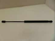 Heckklappe Gasdruckfeder links RENAULT CLIO II (BB0/1/2_, CB0/1/2_) 1.2 16V (BB05, BB0W, BB11, BB27, BB2T, BB2U, BB2V, CB05,... 7700842256