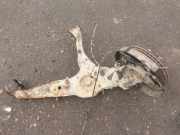 Nabe hinten rechts VW TRANSPORTER V (T5) Furgon 2.5 TDI 7H0501414D
